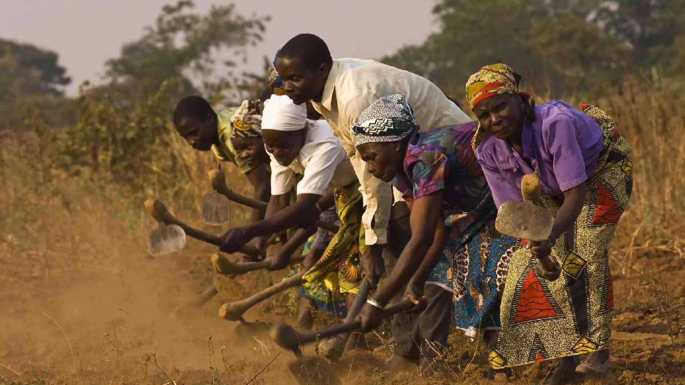 Malawi smallholder farming