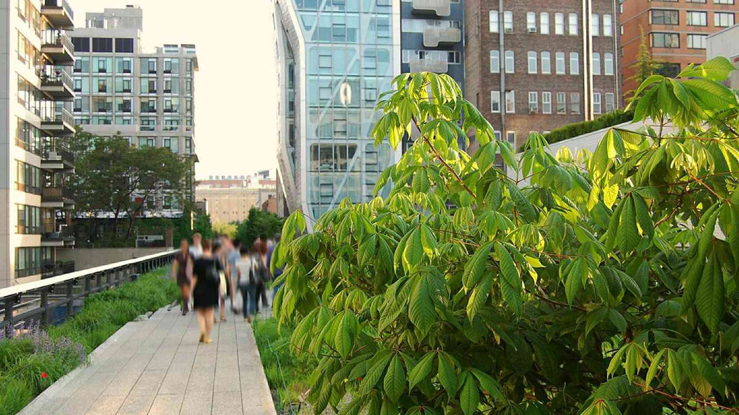 Urban green space on the NY High LIne