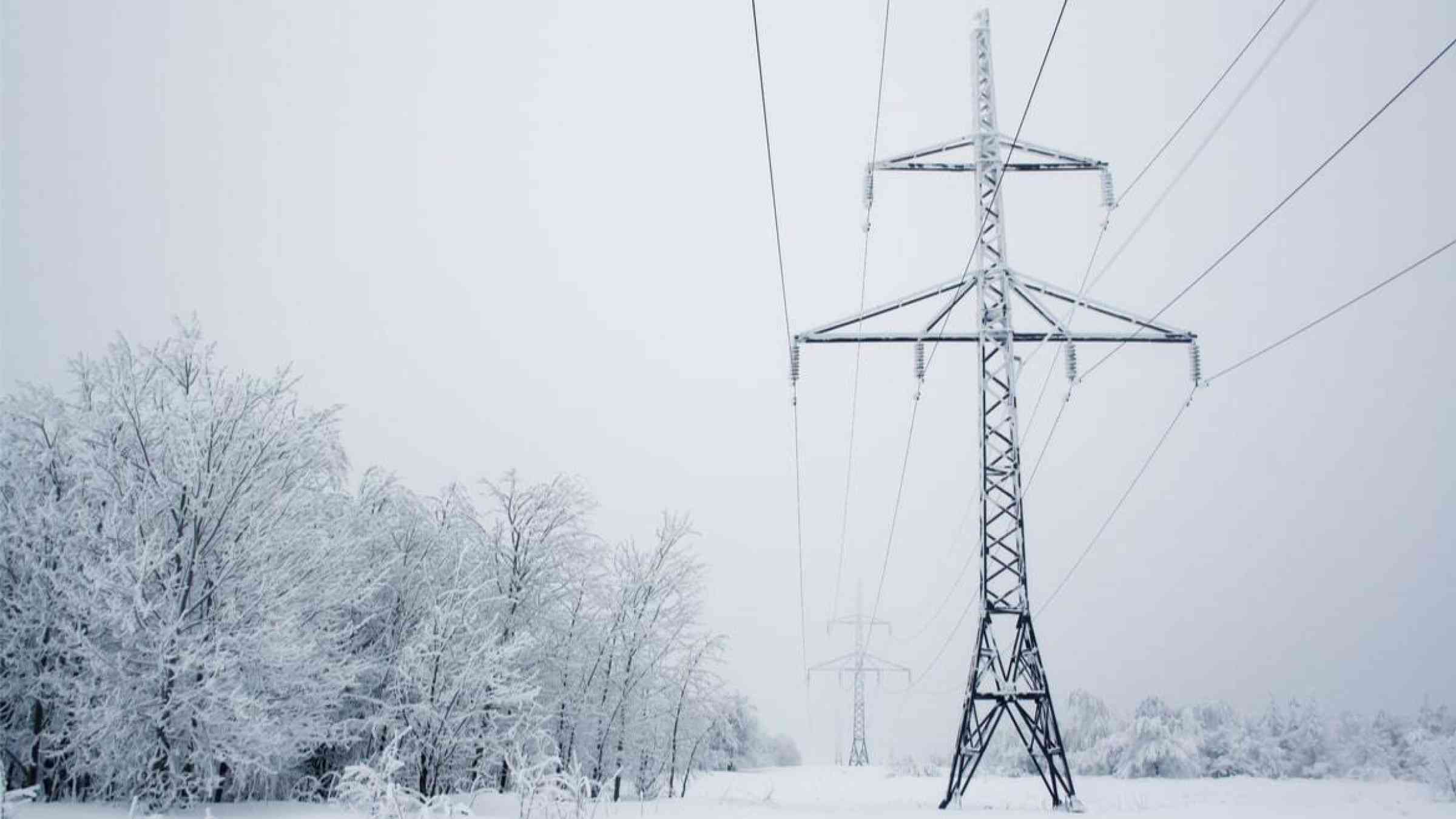 Power lines frozen under moderate snow