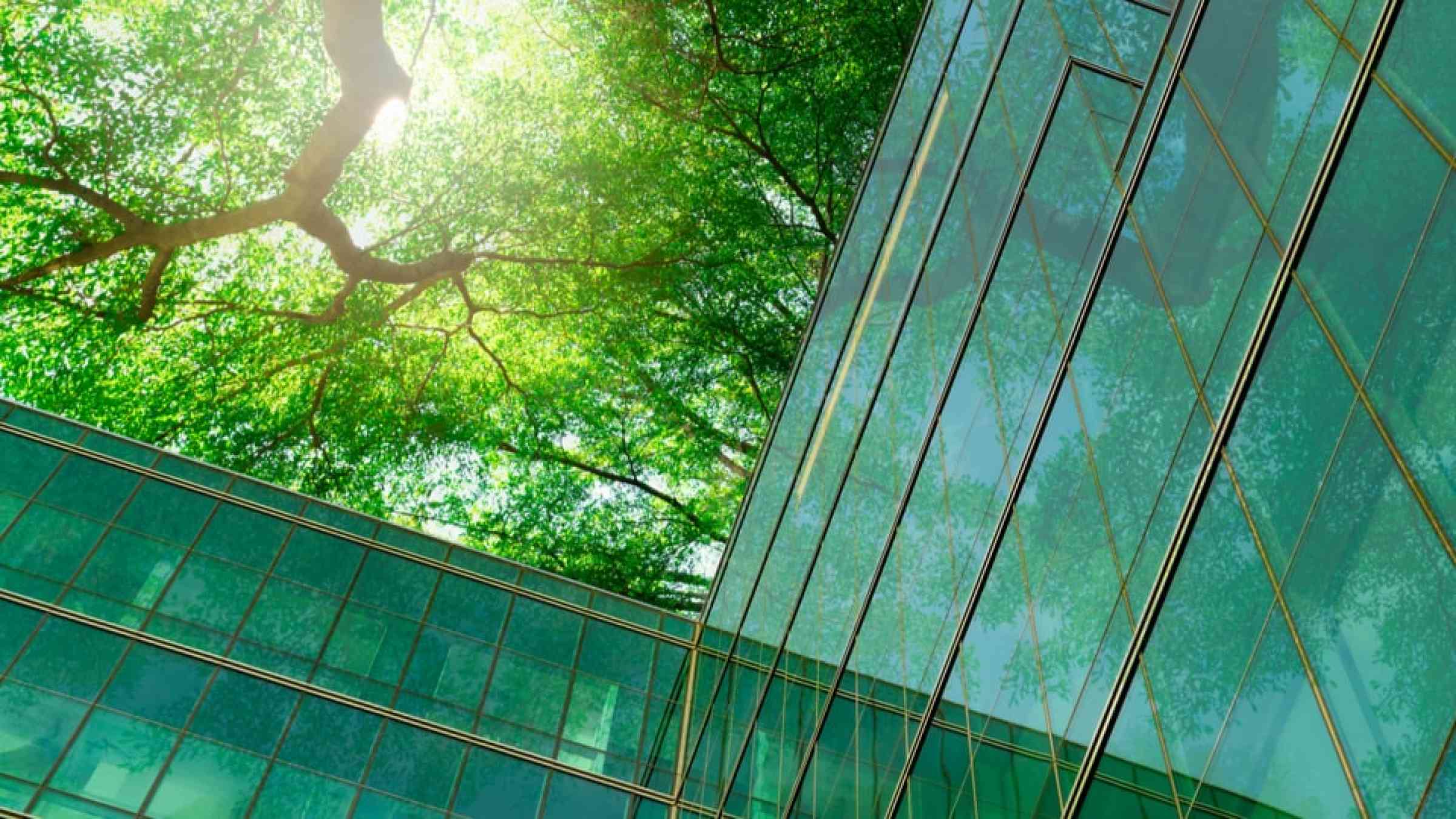 Glass building and tree cover