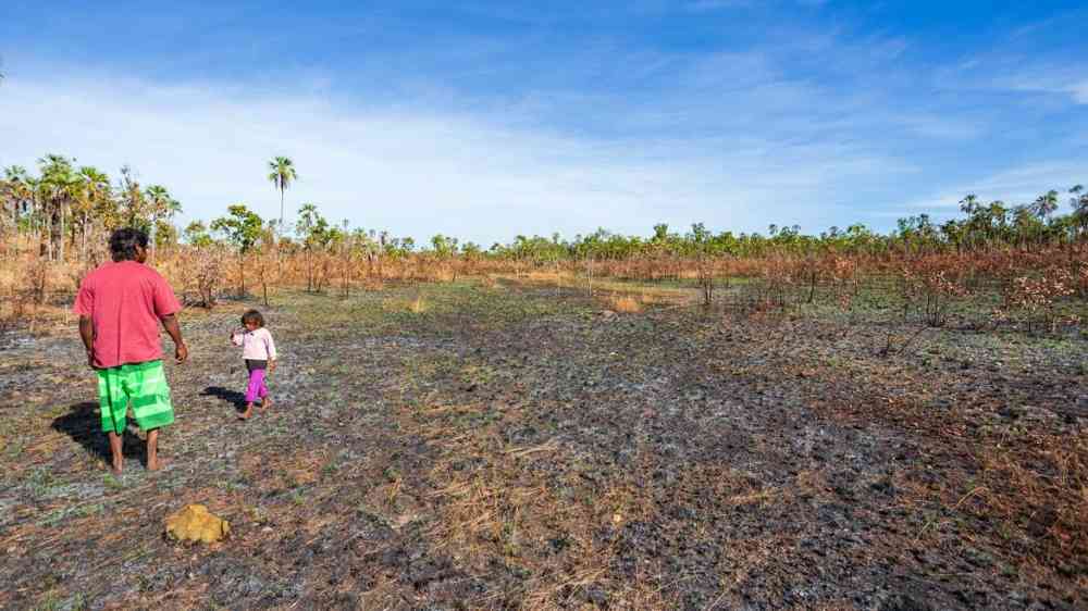 An indigenous Australian man and his child walk through burnt country