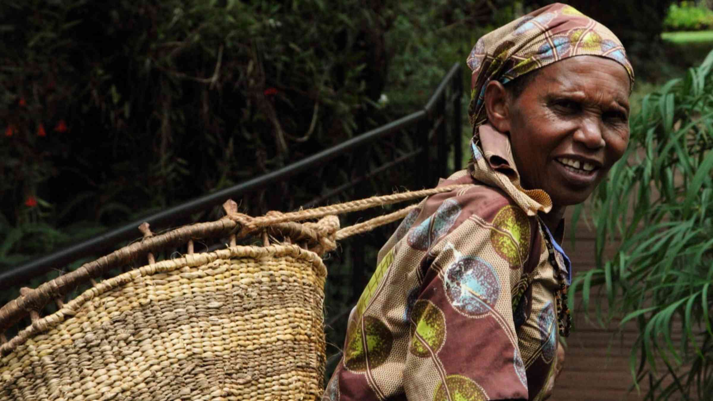 Elder woman works in coffee farm in Tanzania