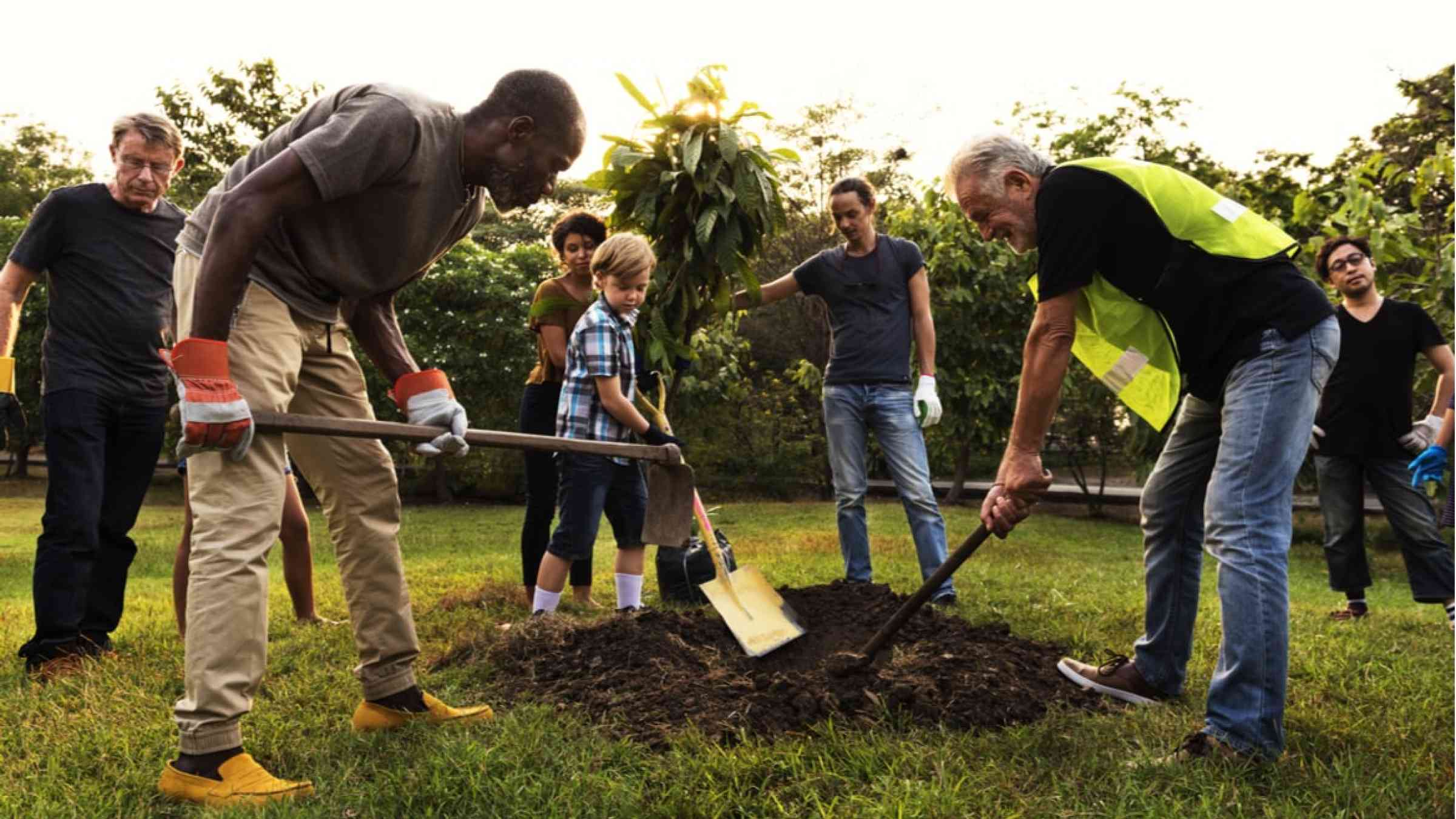 People of different race, age and ethnicities shoveling a hole together in a green space.