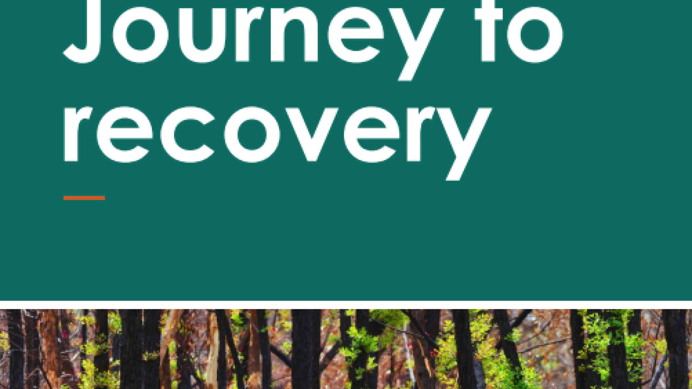Journey to recovery