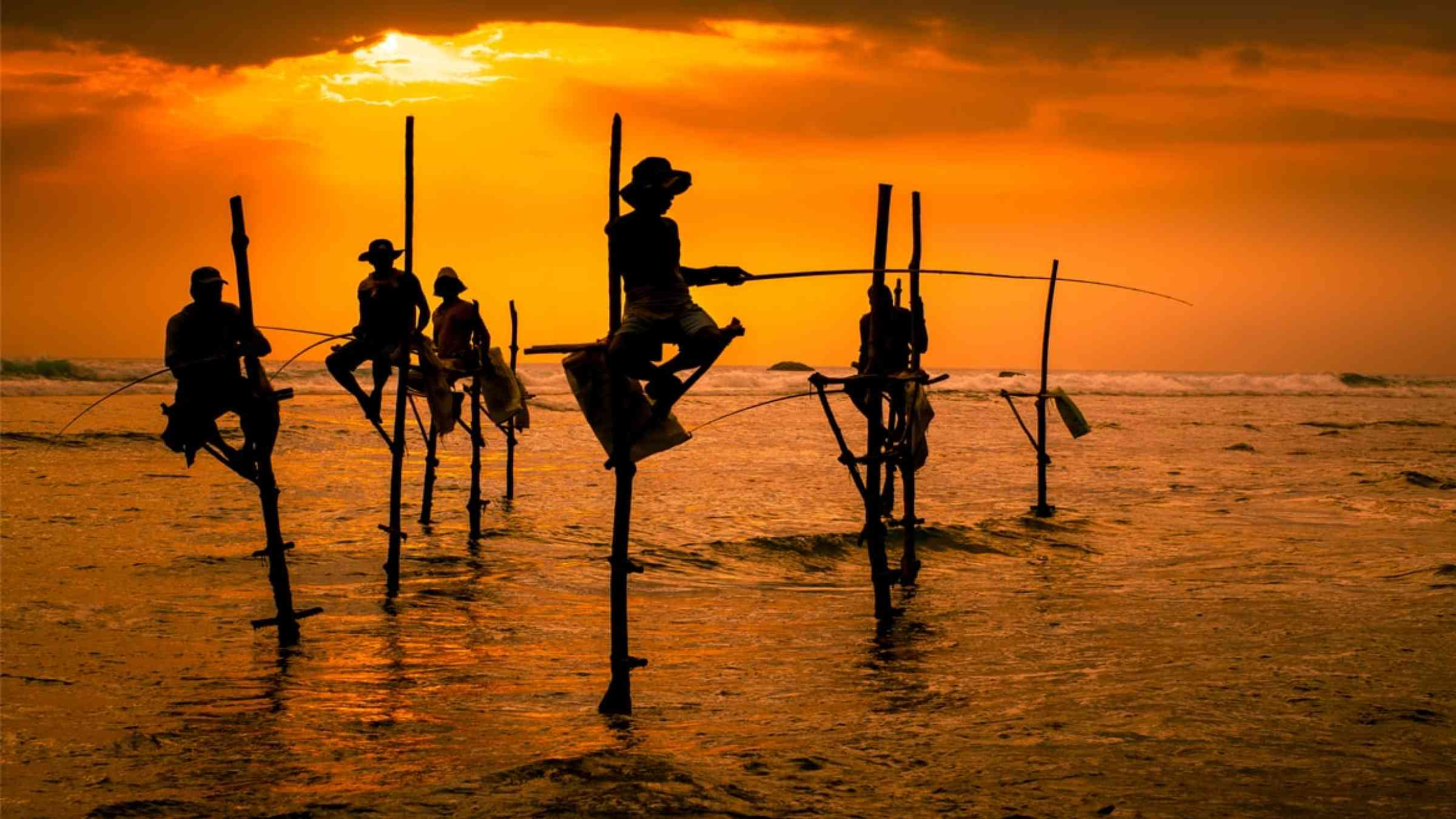 Silhouettes of fishermen in the sea, Sri Lanka