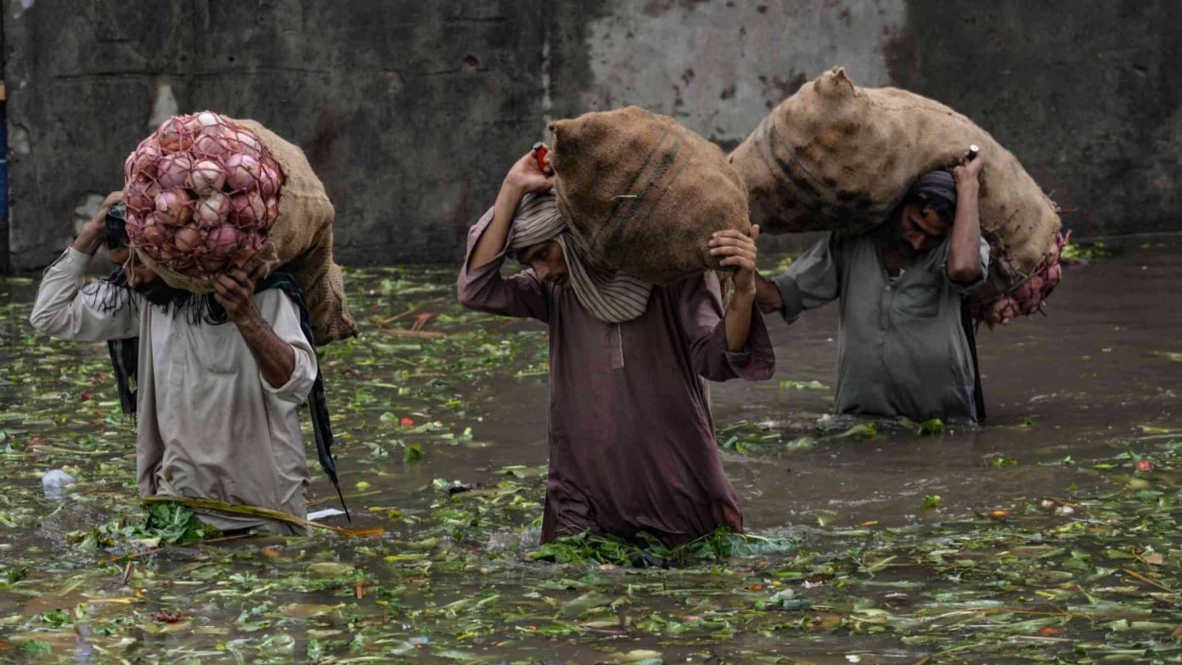 Three people carrying bags of onions through flood water.