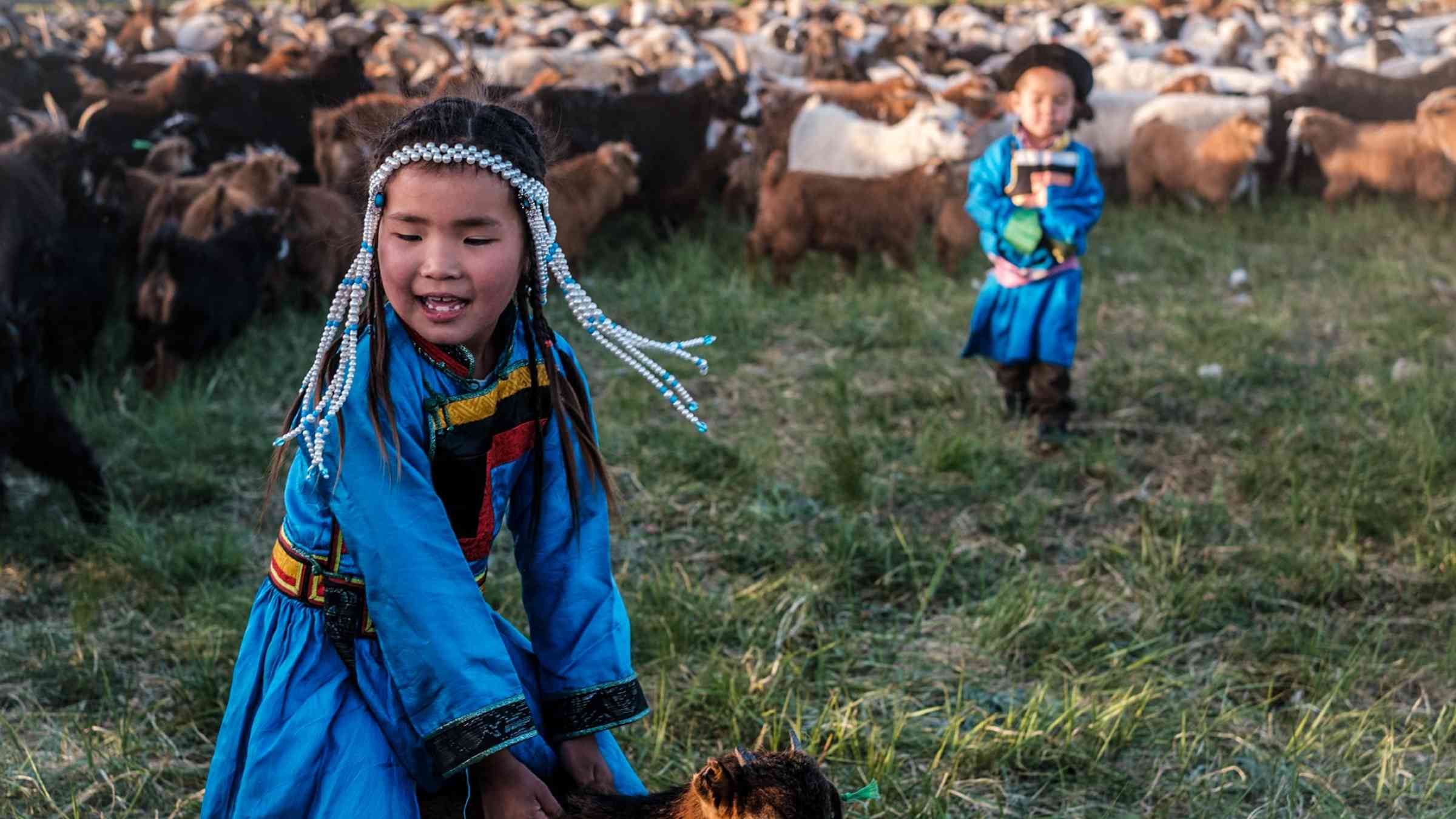 A photo of two laughing children wearing traditional Mongolian dress in a field with cashmere goats