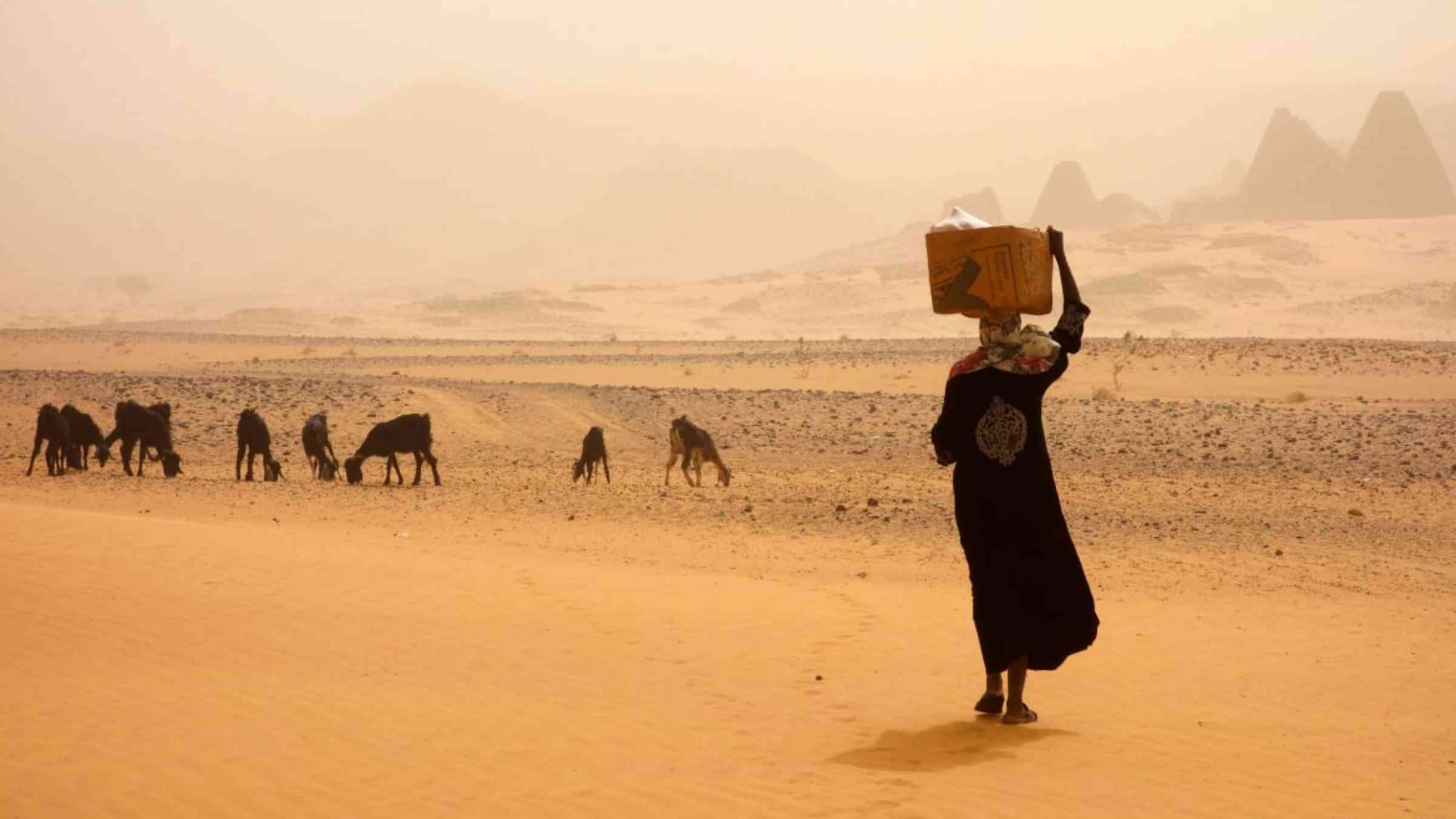 Woman carrying a basket walking through the sandy desert with her livestock.