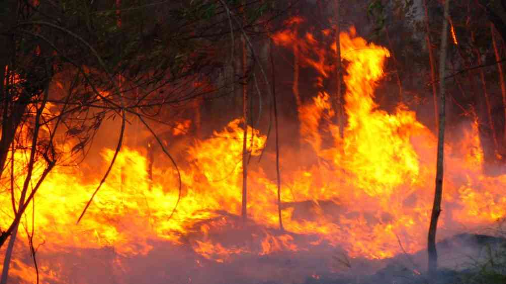 Bushfire, Australia