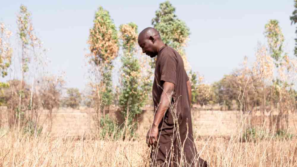 Farmer walking in a dry field