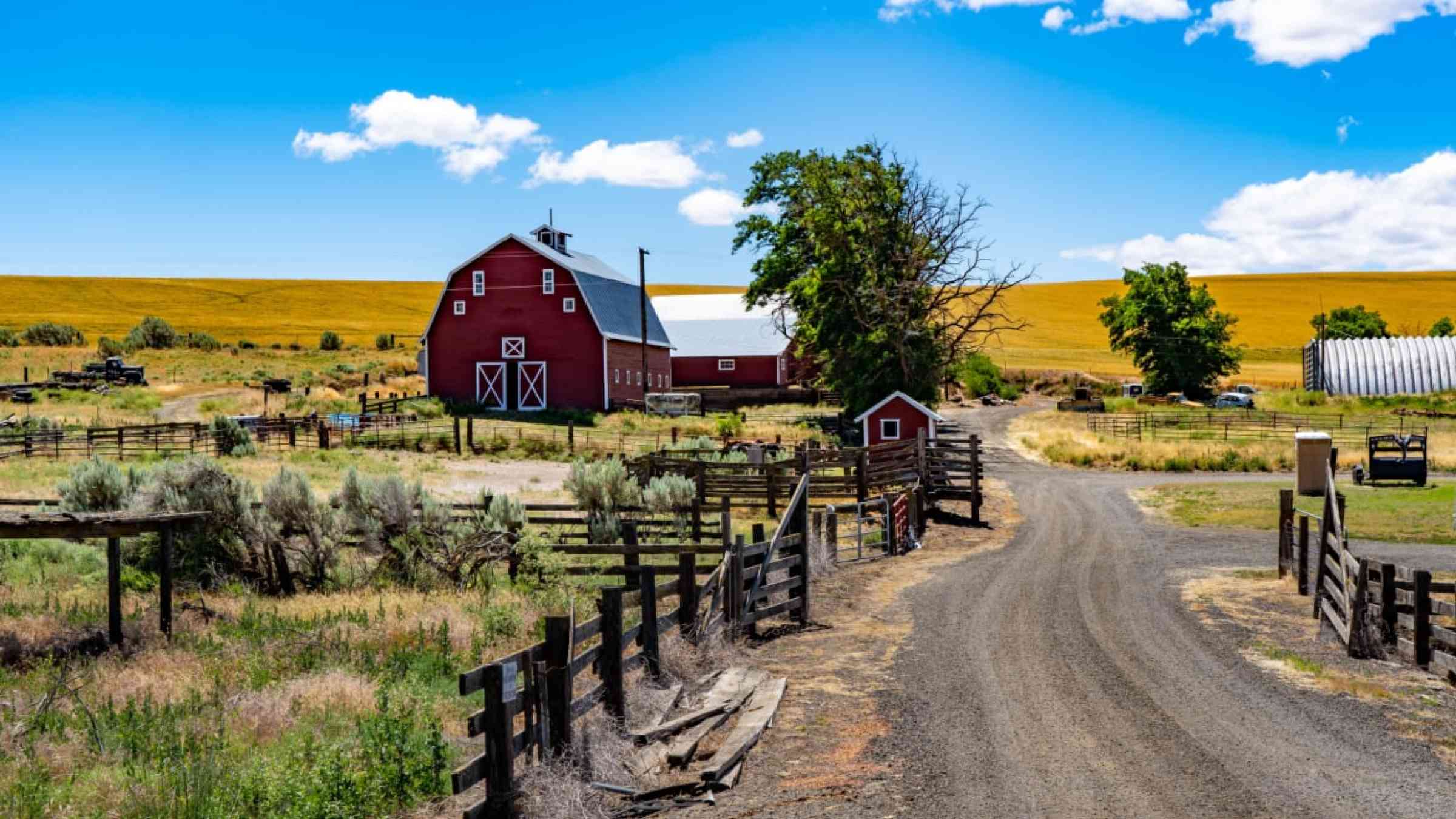 A farm with a red barn in the countryside in Oregon, USA.
