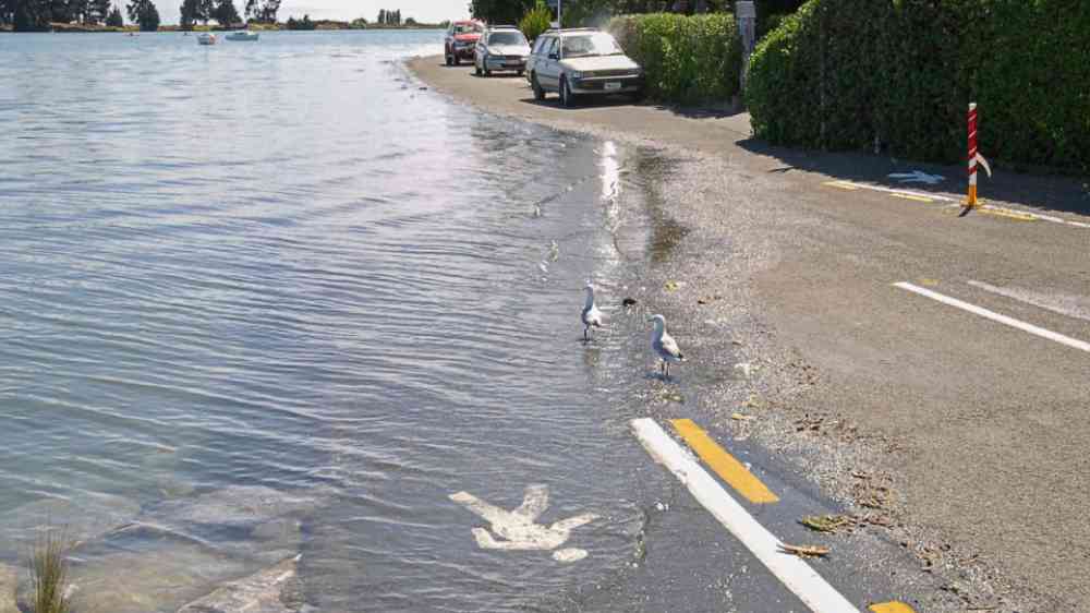 Inundated street with parked cars in the background