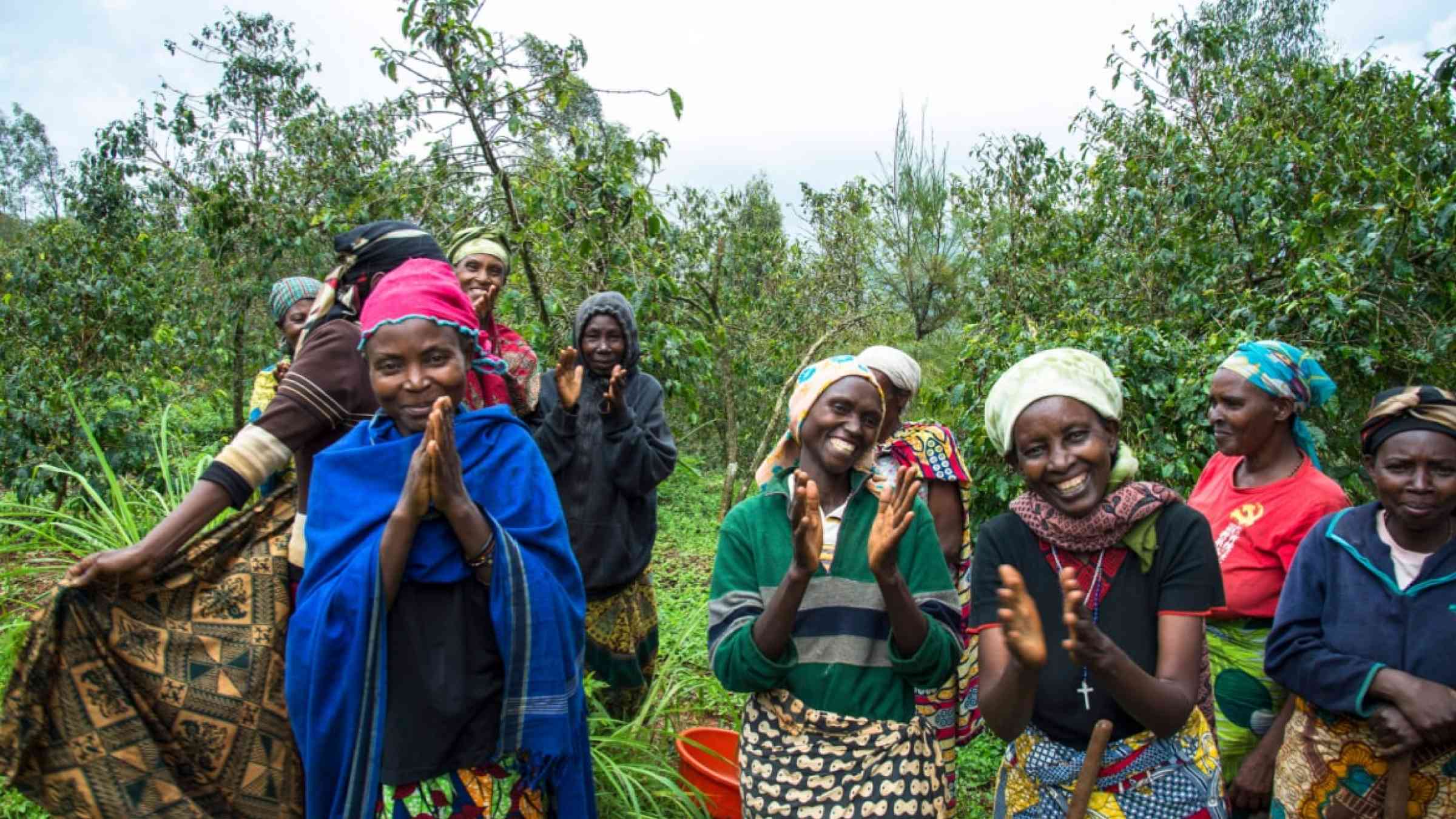 Women in Rwanda growing coffee to support themselves.