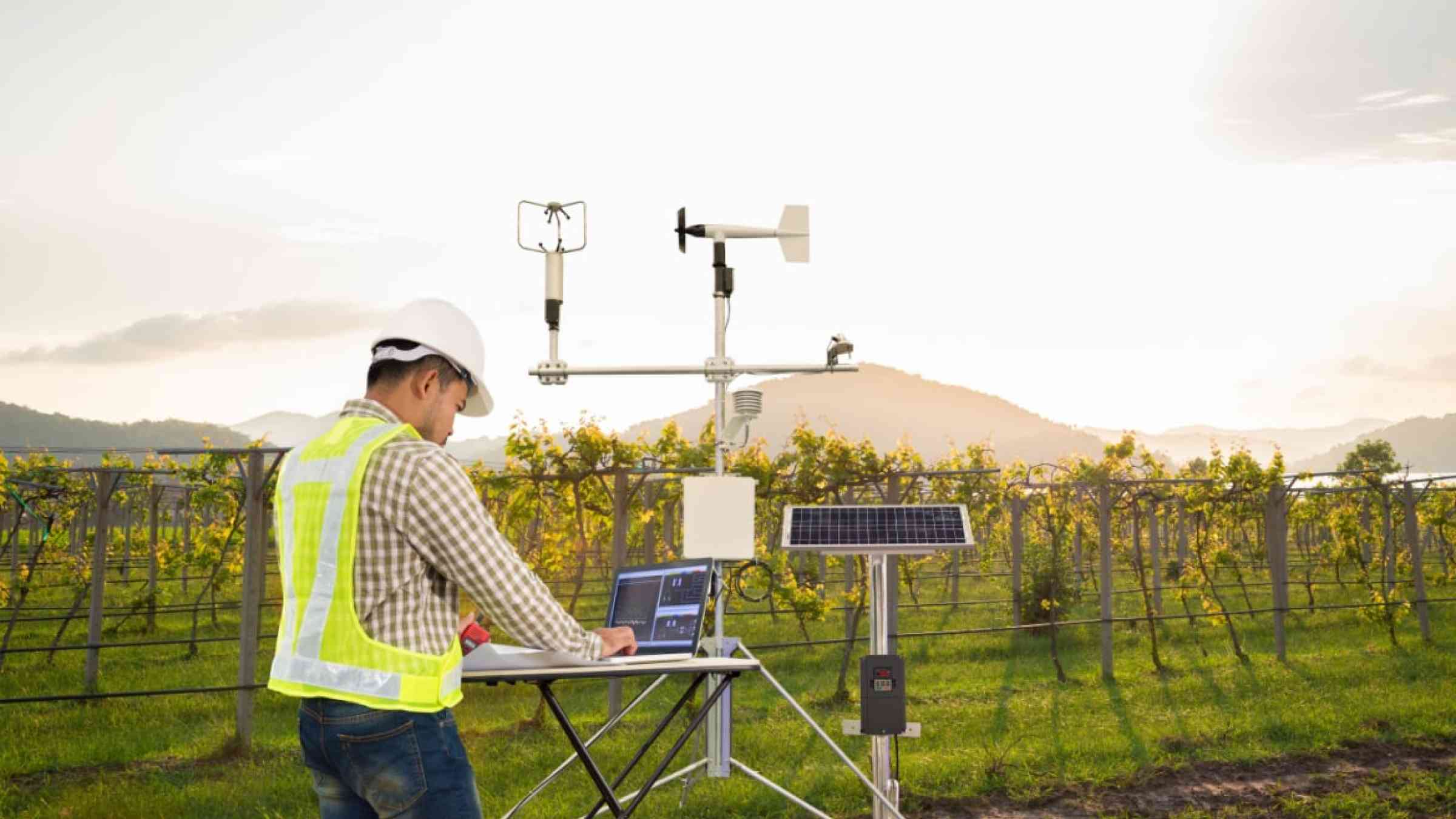 An agronomist using a tablet computer collecting data with meteorological instrument to measure the wind speed, temperature and humidity and solar cell system in grape agricultural field.
