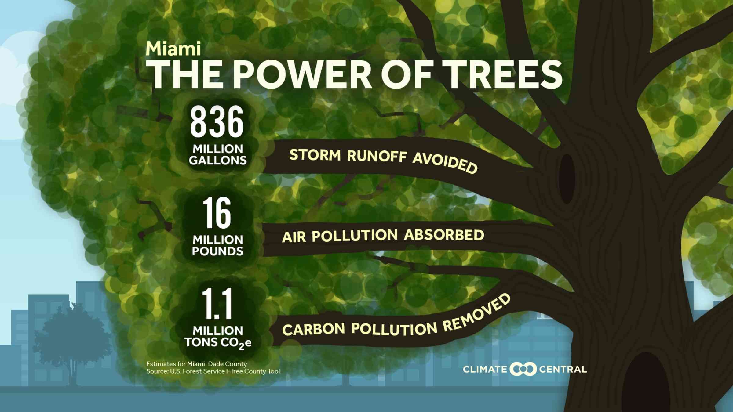 Graphic showing the power of trees