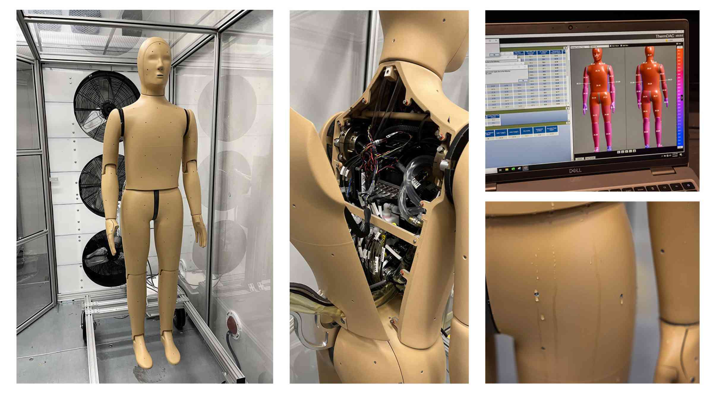 ANDI — a breathing, sweating, walking and shivering mannequin - is helping researchers understander heat stress