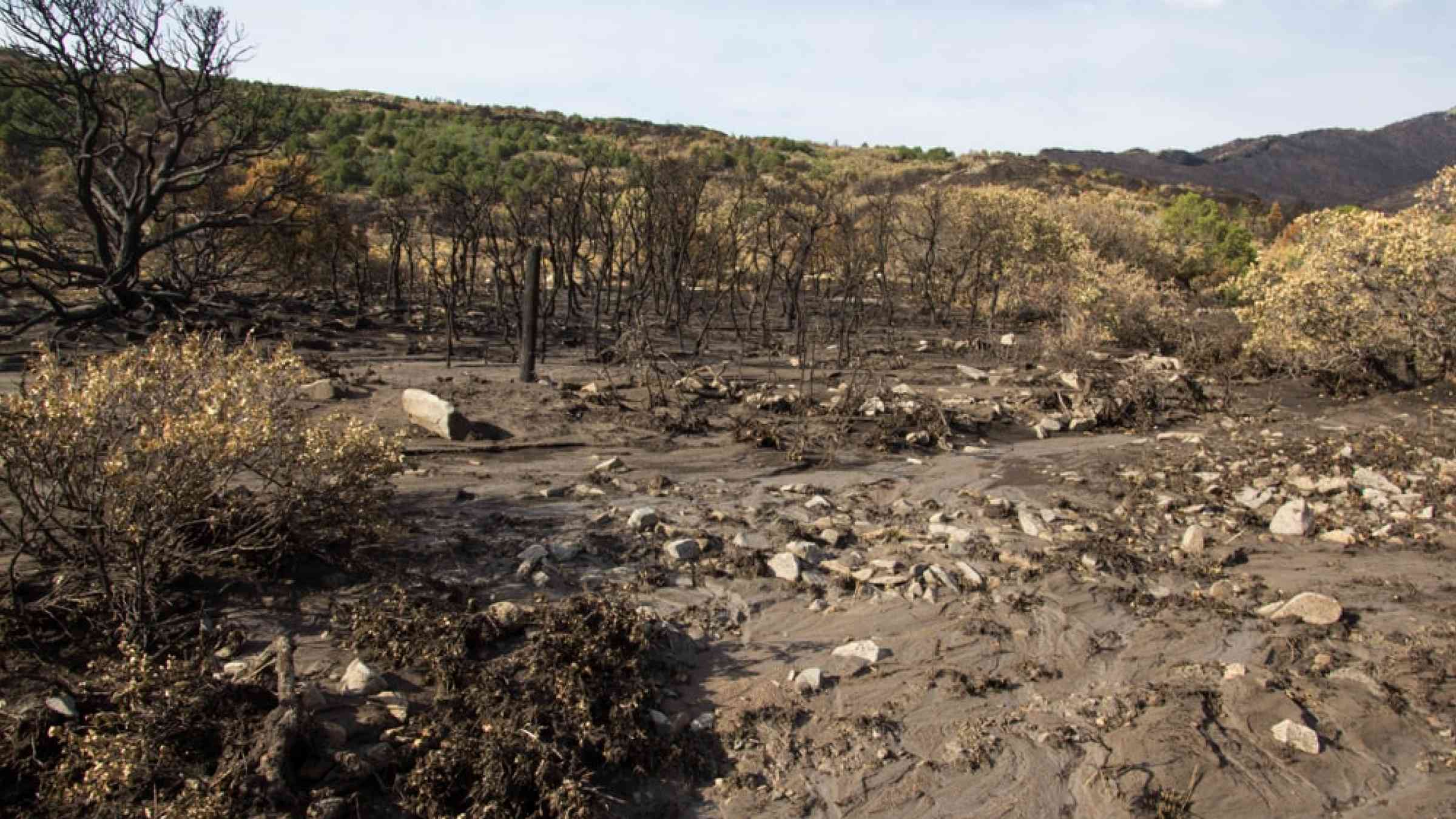Flash flood mud from runoff after a forest fire