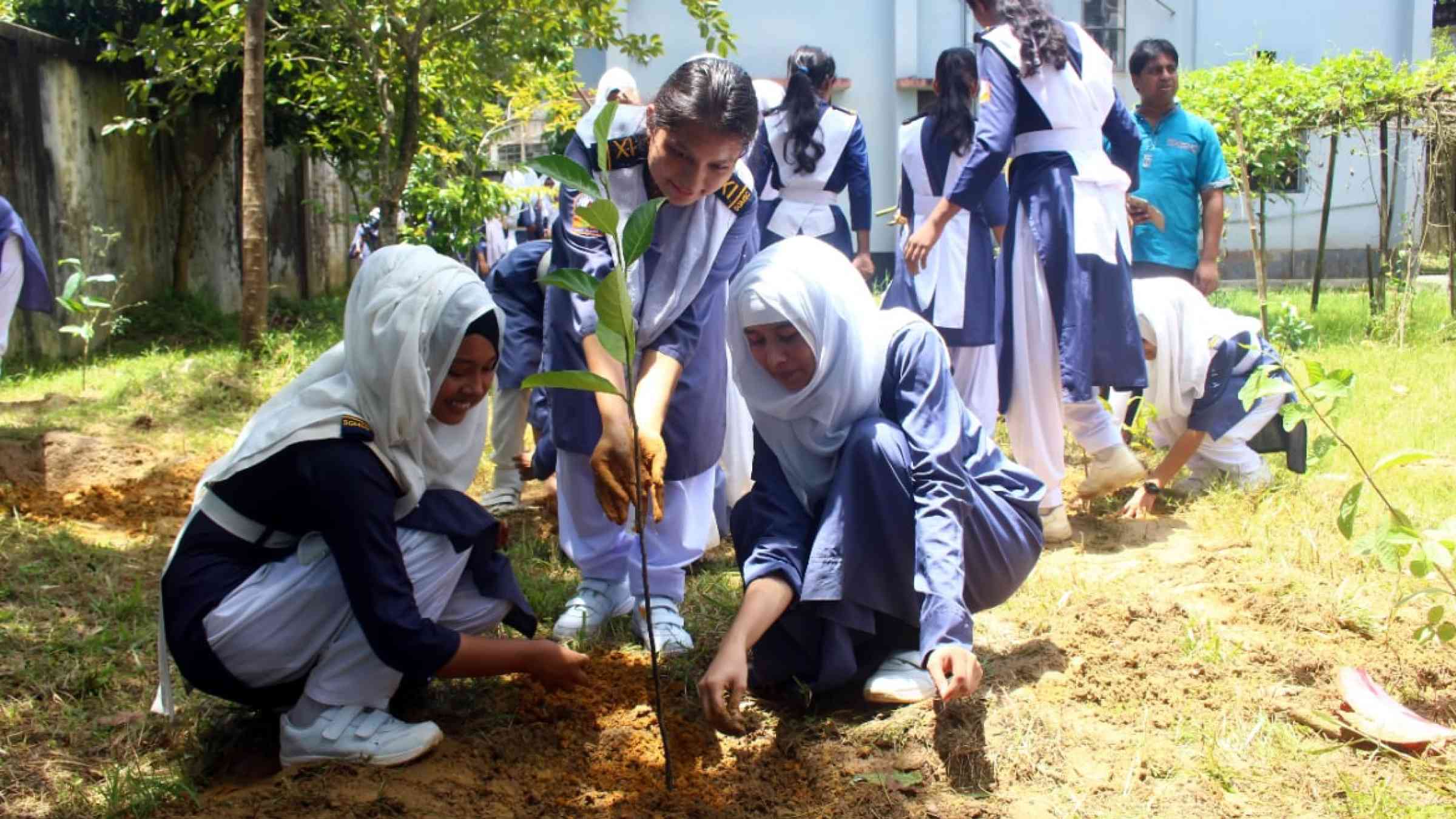 Students are shown planting trees in a school in Sylhet, Bangladesh.