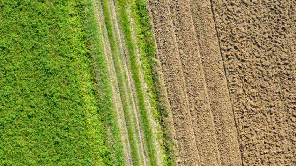 Aerial view of fertile and dry land