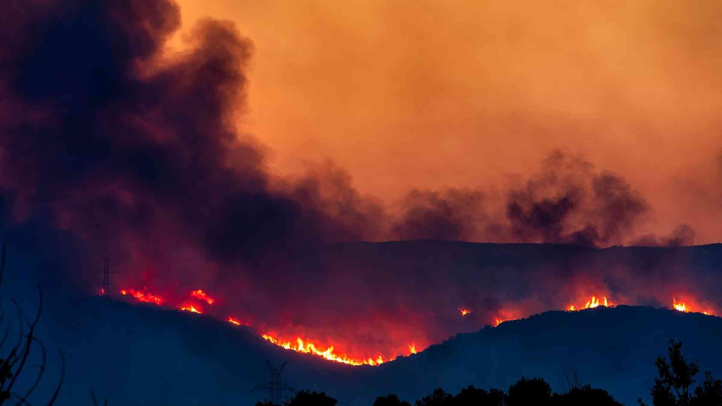 Forest fire in the prefecture of Evros in northern Greece, 21 August 2023