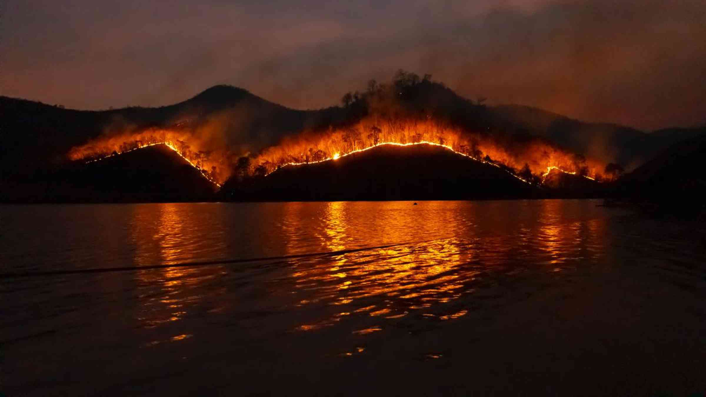 Wildfire, Thailand