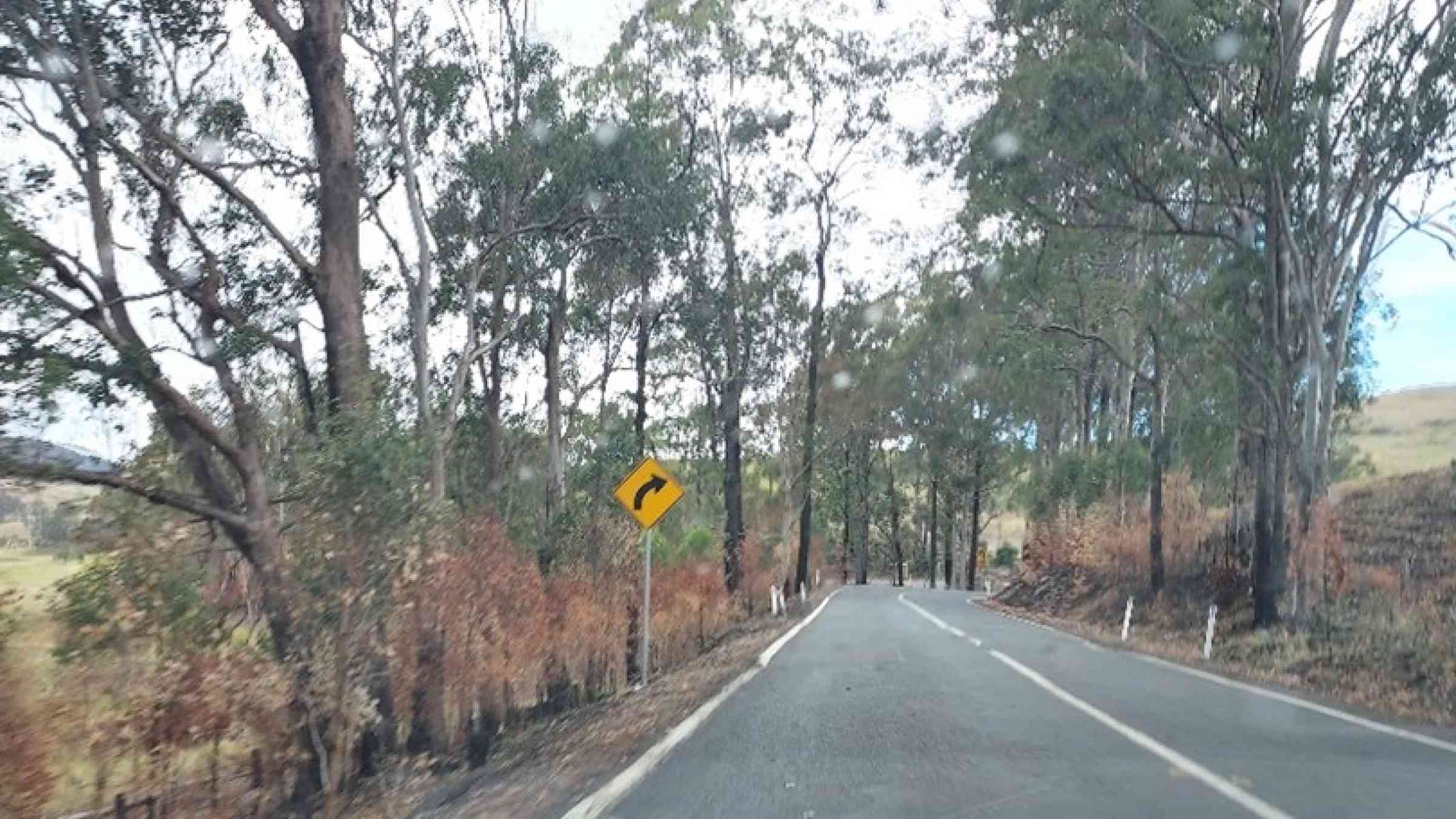Recent prescribed burning beside a main road in southern Queensland, assisting in firefighter safety, firefighting/ backburning and reducing bushfire escape/ travel risks.