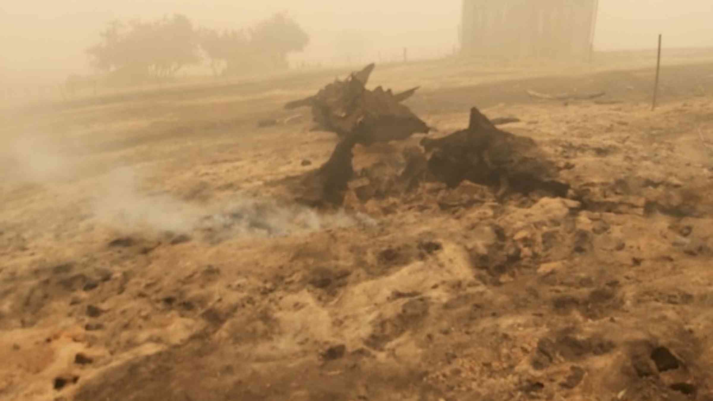 Hazardous smoke conditions in the Tumbarumba on 5 January 2020, in this case during mopping up.  These conditions were common during that period, common for firefighters and emergency personnel.