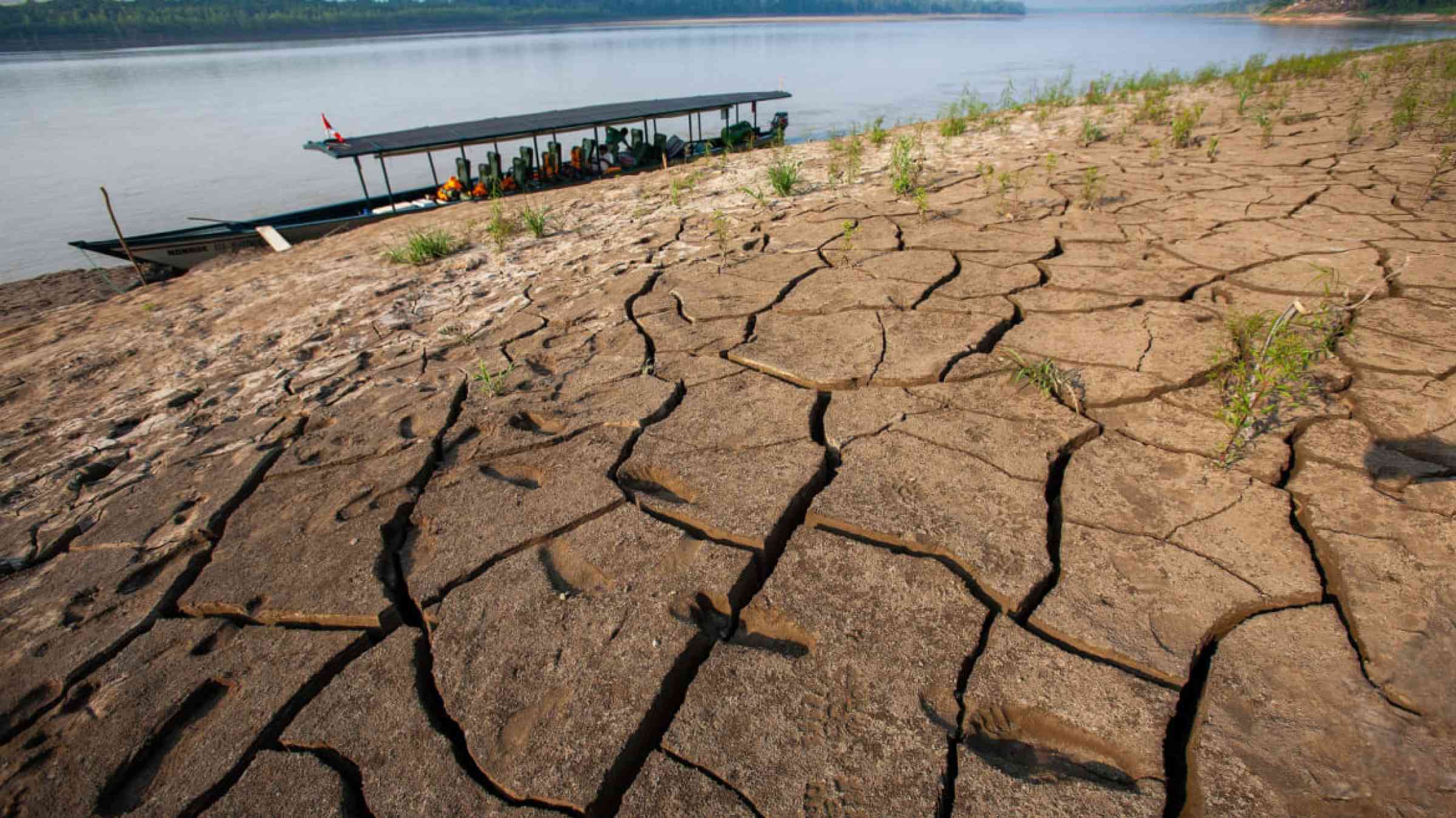 The Tambopata River, a tiny tributary of the Amazon river system, is afflicted by drought