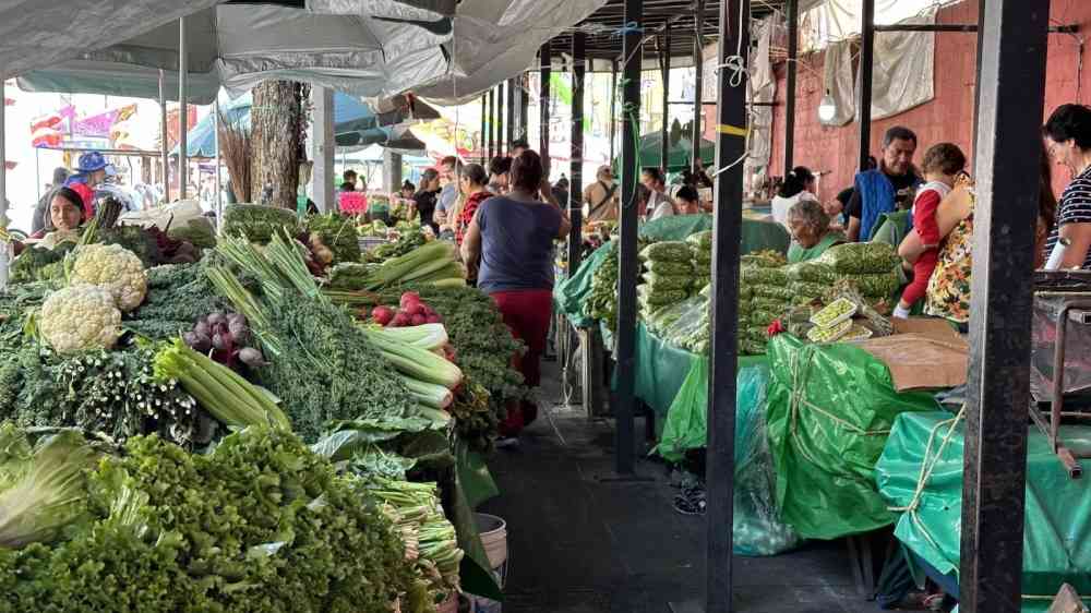 Produce grown on the chinampas is sold at bustling markets in the south of Mexico City.
