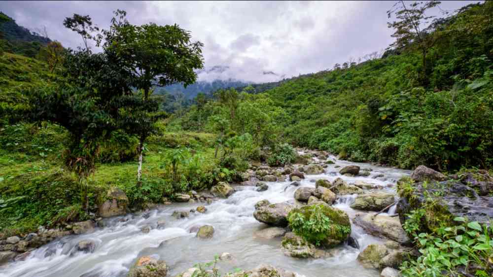 A river in Guatemala.