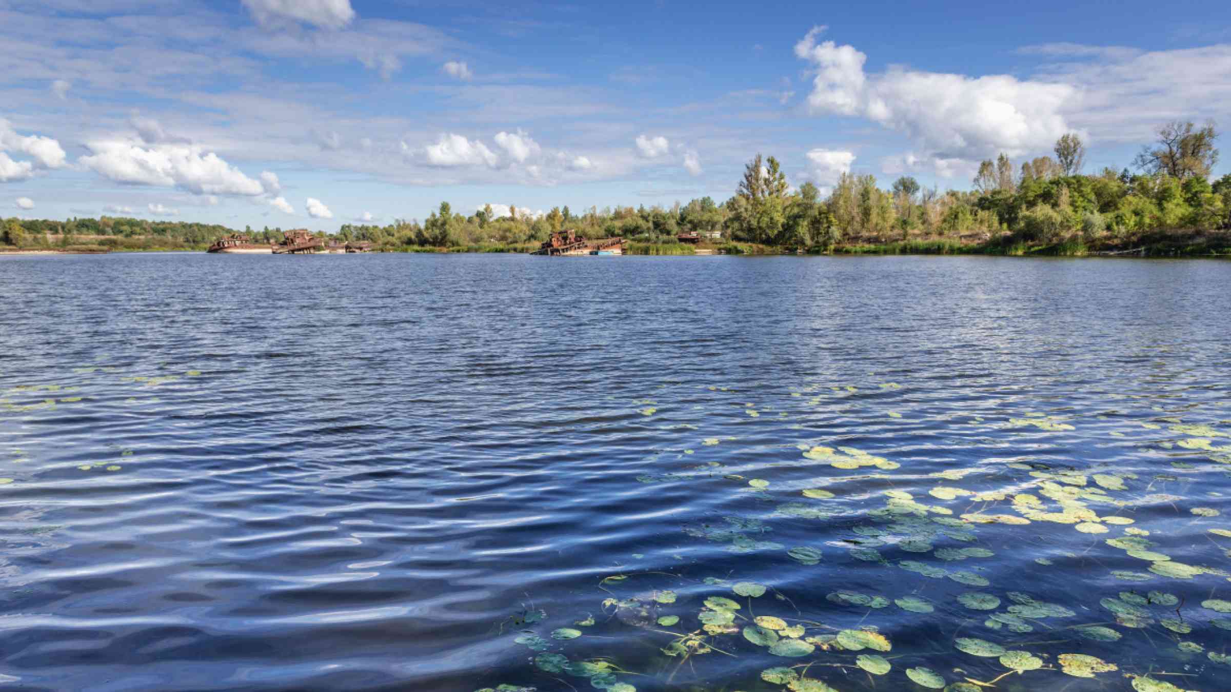 Pripyat River backwater seen from Chernobyl village in Ukraine