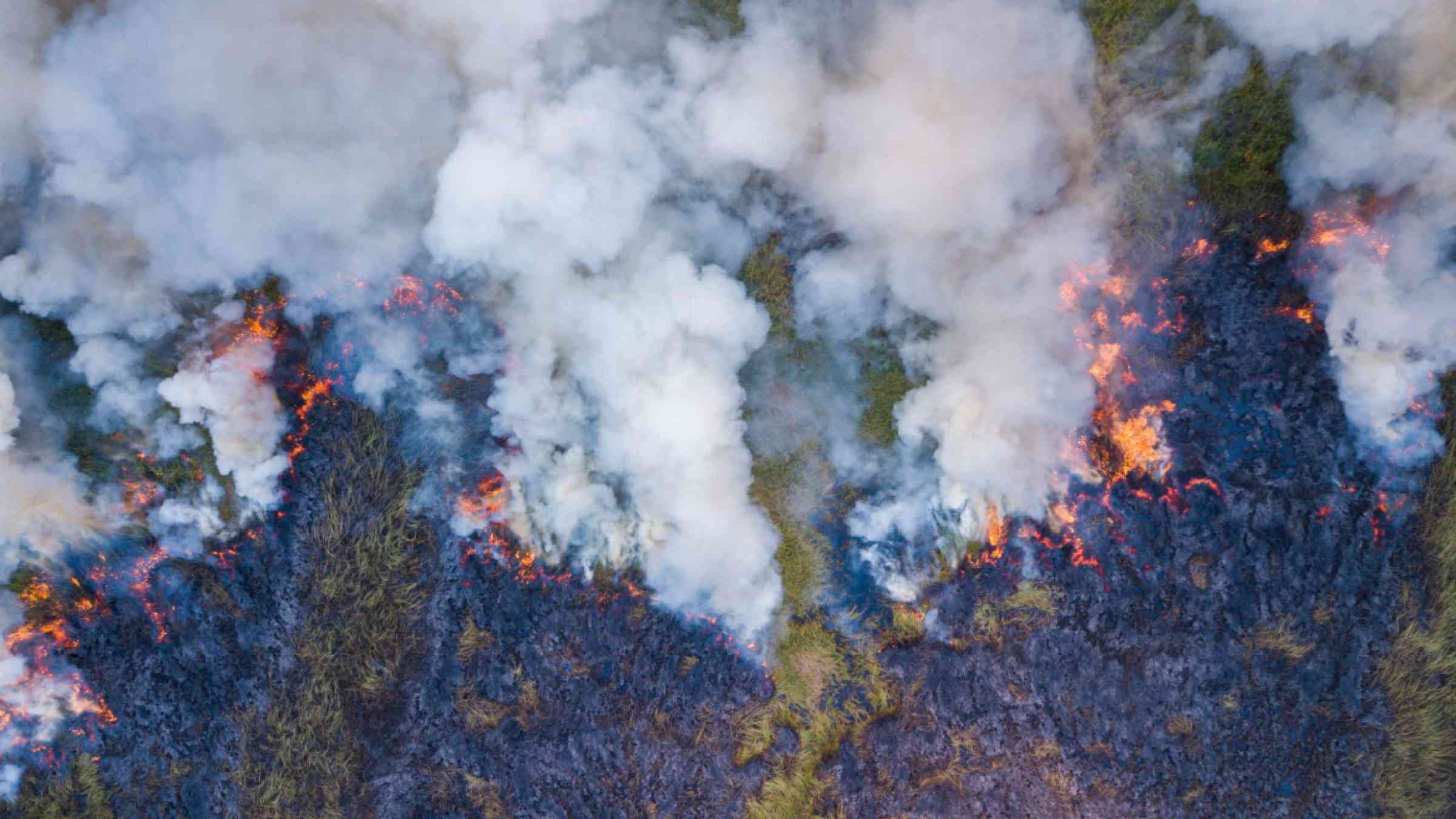 Aerial view of forest grass being burned