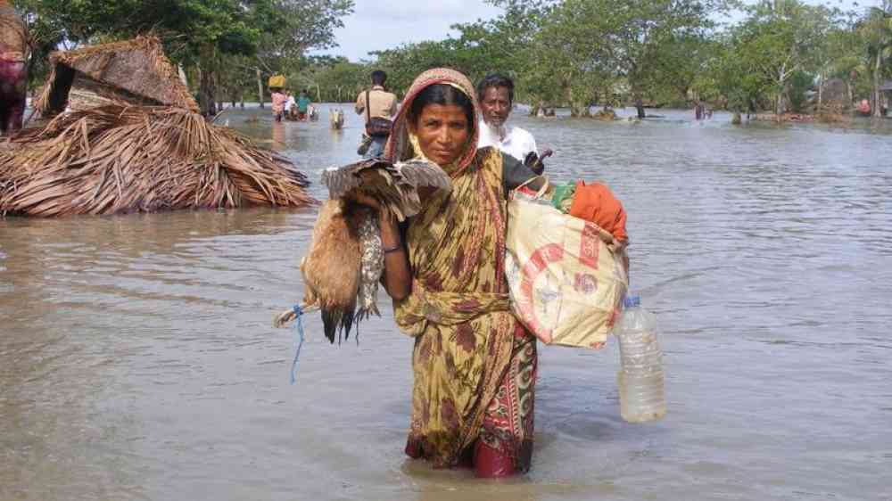 Woman carrying possessions and chickens in a flooded area