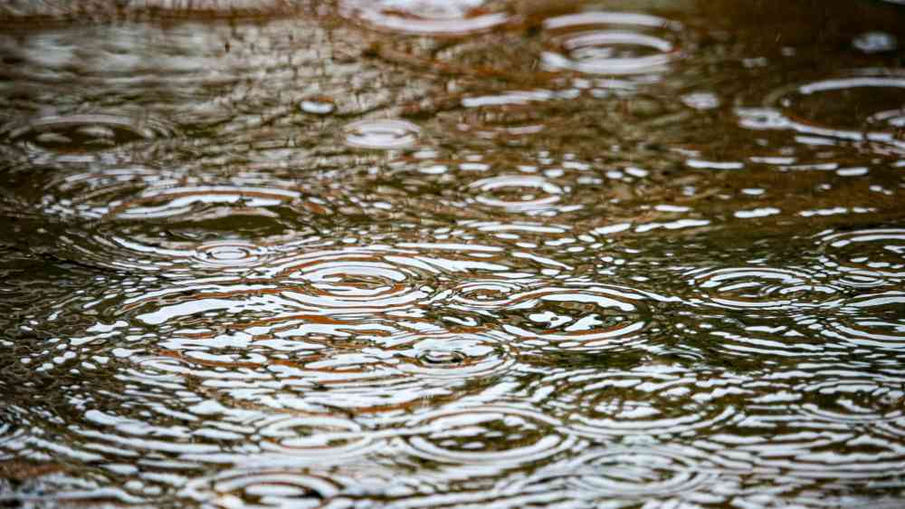 rain