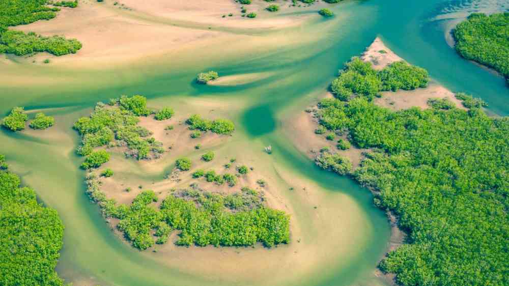 Saltoum Delta National Park, Senegal (Curioso Photography 2020)