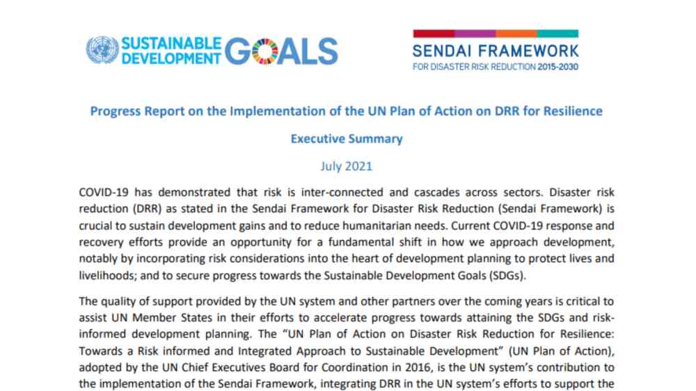 UN PoA Progress Report 2020 cover