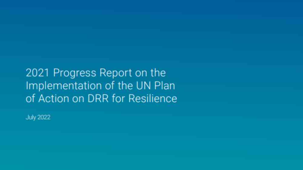 UN PoA Progress Report 2021 cover