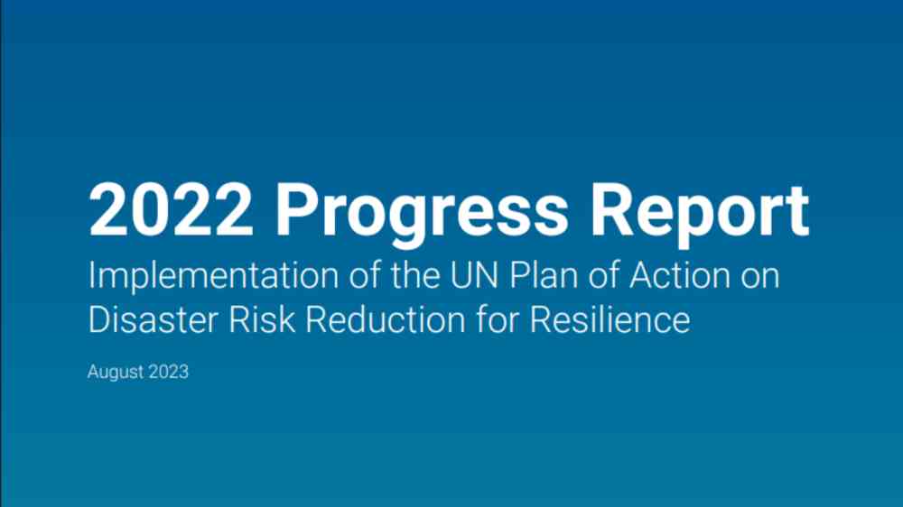 UN PoA Progress Report 2022 cover