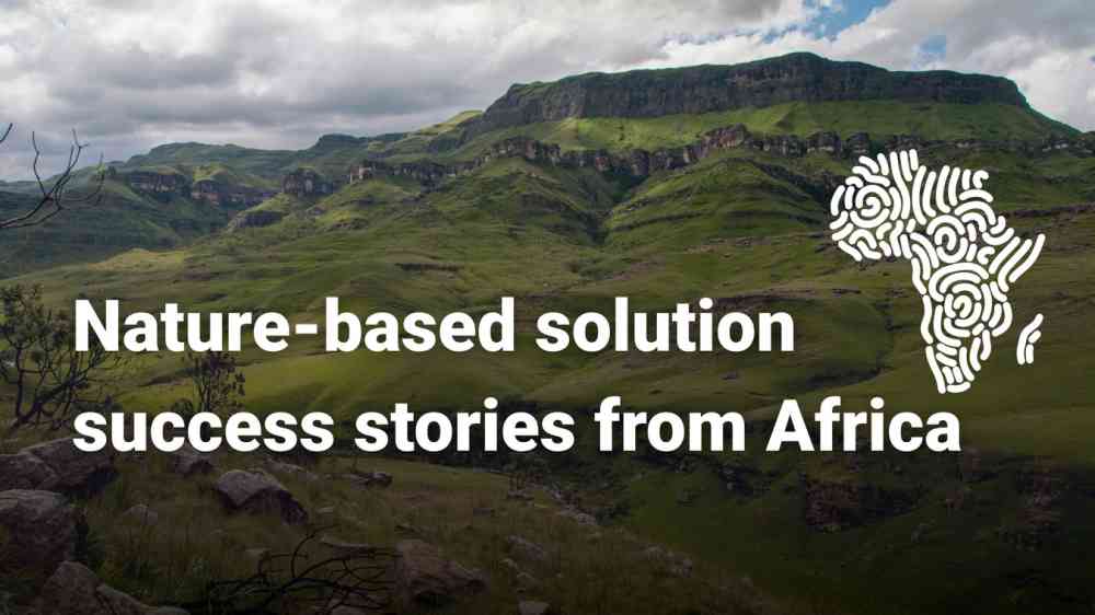 Nature-based solution success stories from Africa