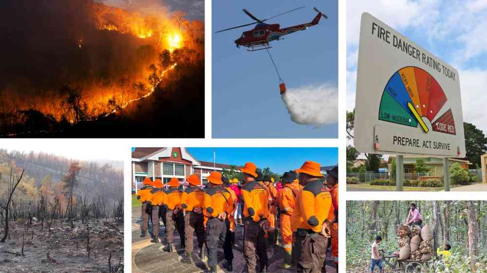 Reflections on wildfire