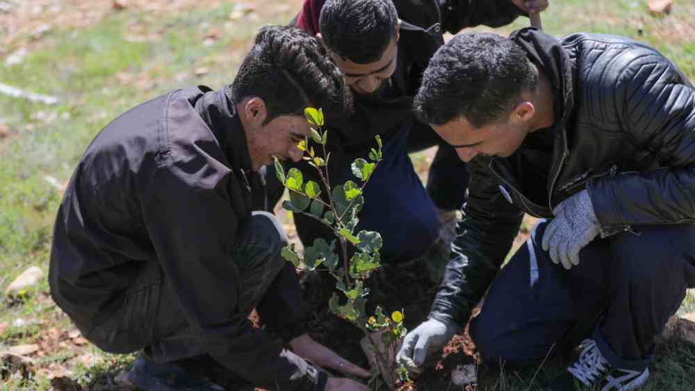 Youth being engaged in environment related work