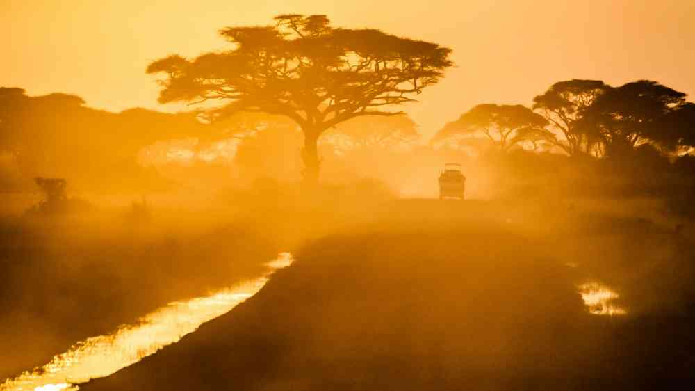 Amboseli national park, Kenya.