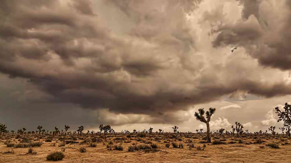 Sand storm in California