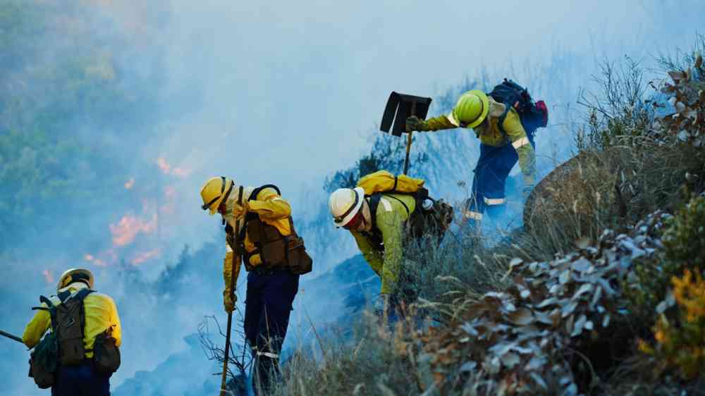 Firefighters amongst a brush fire