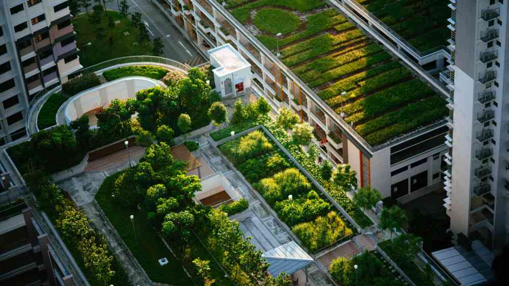 Green roofs onbuildings in a city.