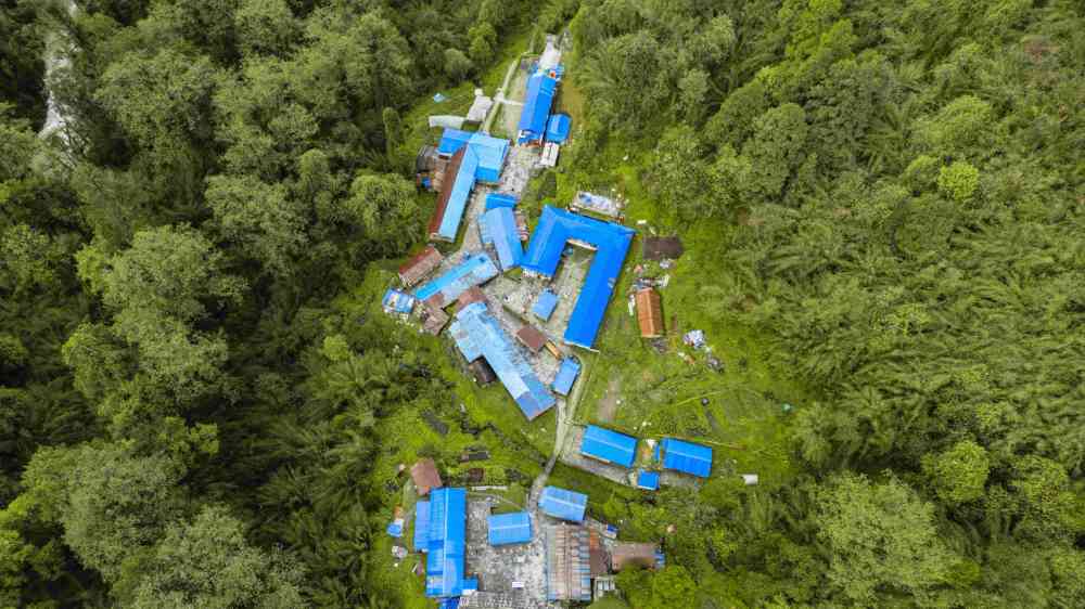 Aerial view of houses with blue tarps