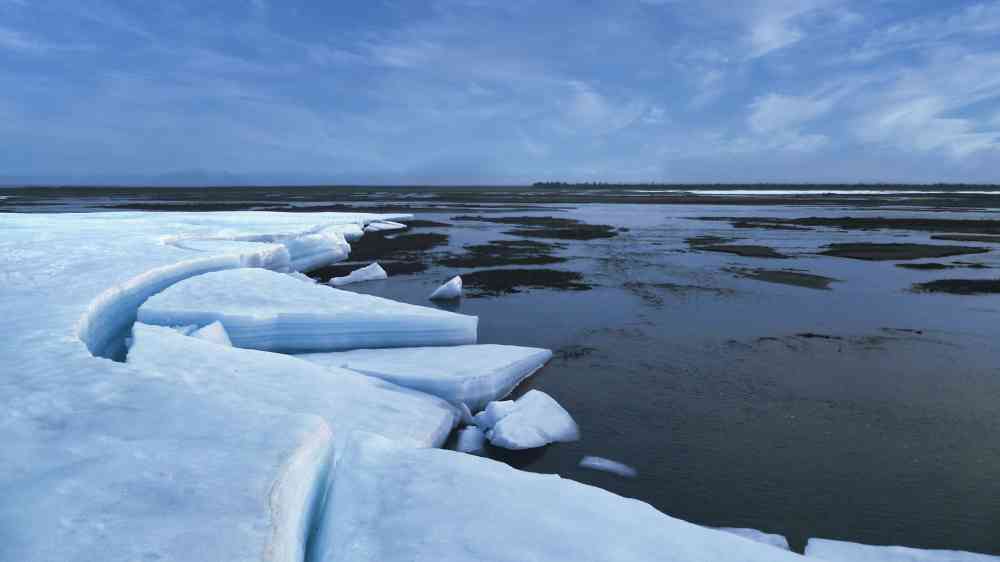 Expansive view of icebergs and frozen waters in Yakutia, Siberia, under a clear winter sky.