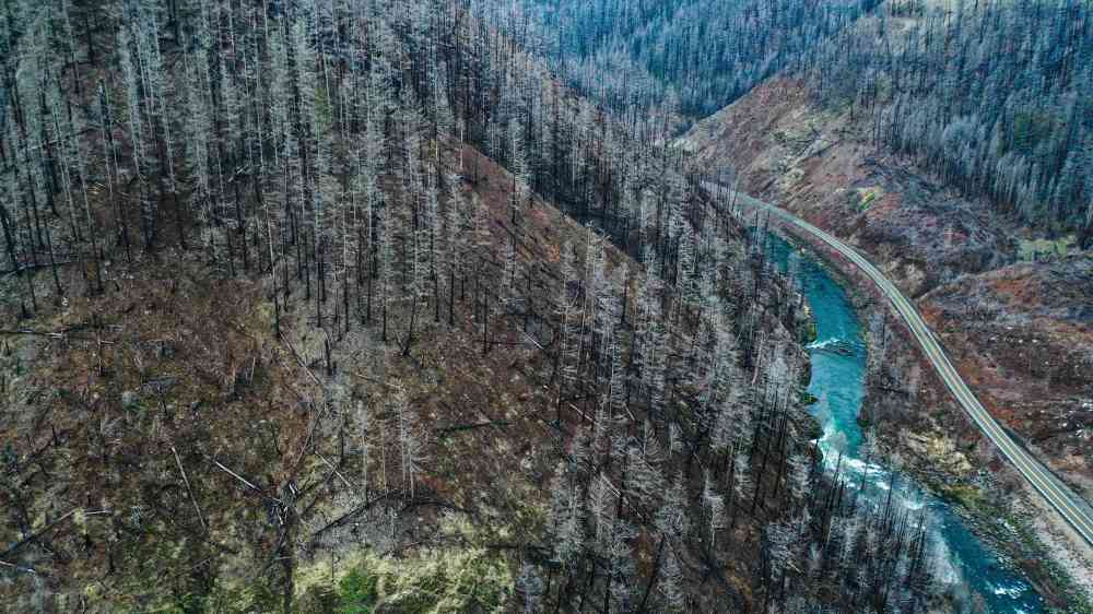 Aerial shot of a forest after a wildfire, with a river winding through the charred landscape.