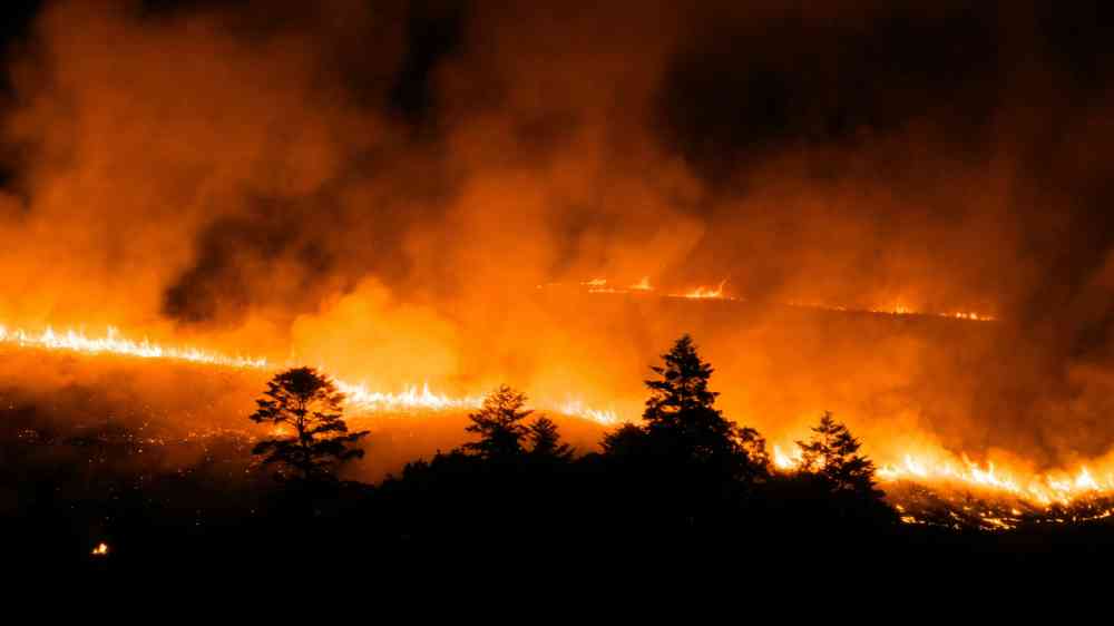 Wildfire burning through a forest in the mountains