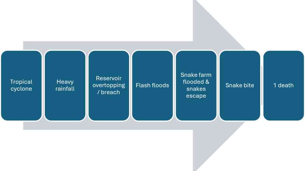 Figure 1: Illustrative causal pathway for reported snakebite fatality during Typhoon Maysak 
